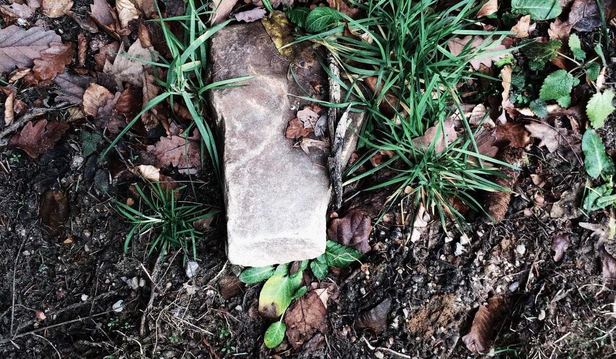 Gambar kisah (placeholder)