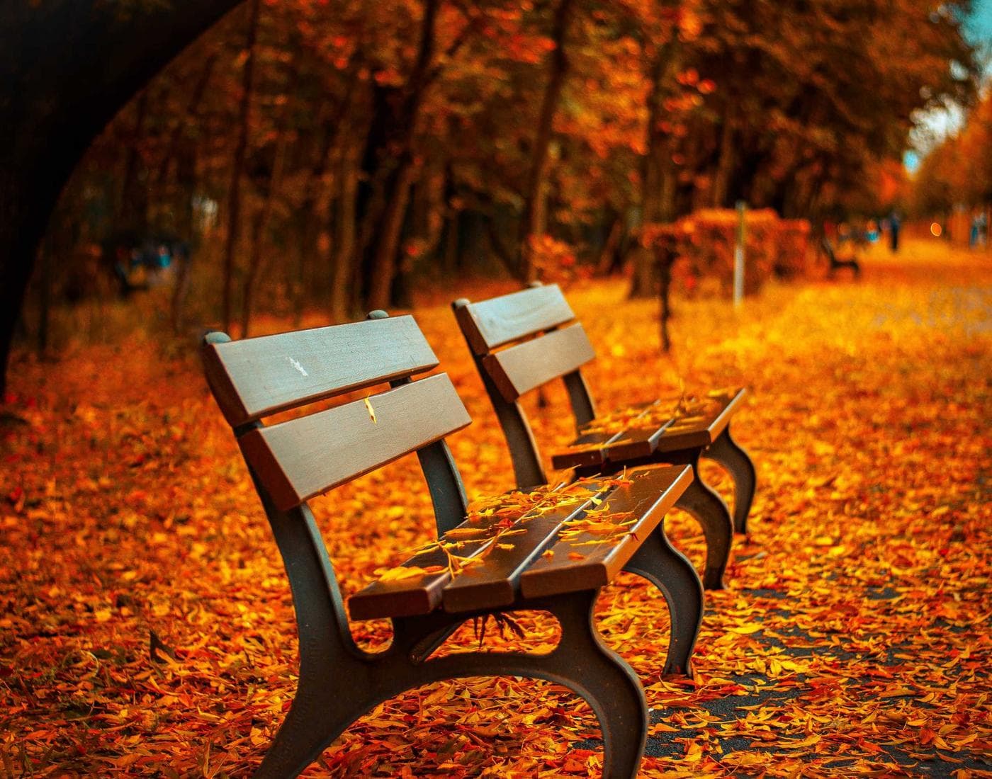 Foto filosofi (placeholder)